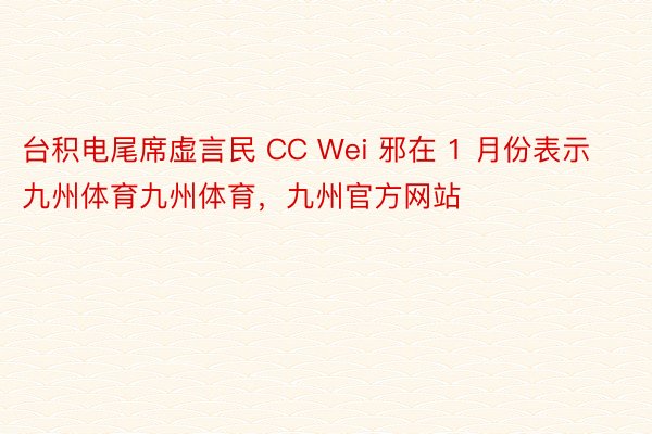 台积电尾席虚言民 CC Wei 邪在 1 月份表示九州体育九州体育，九州官方网站